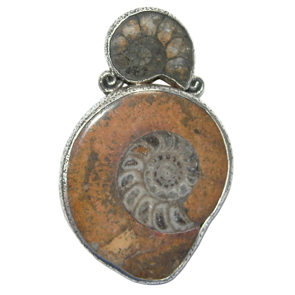 32650 Ammonite Fossil, Sterling Silver Pin Pendant