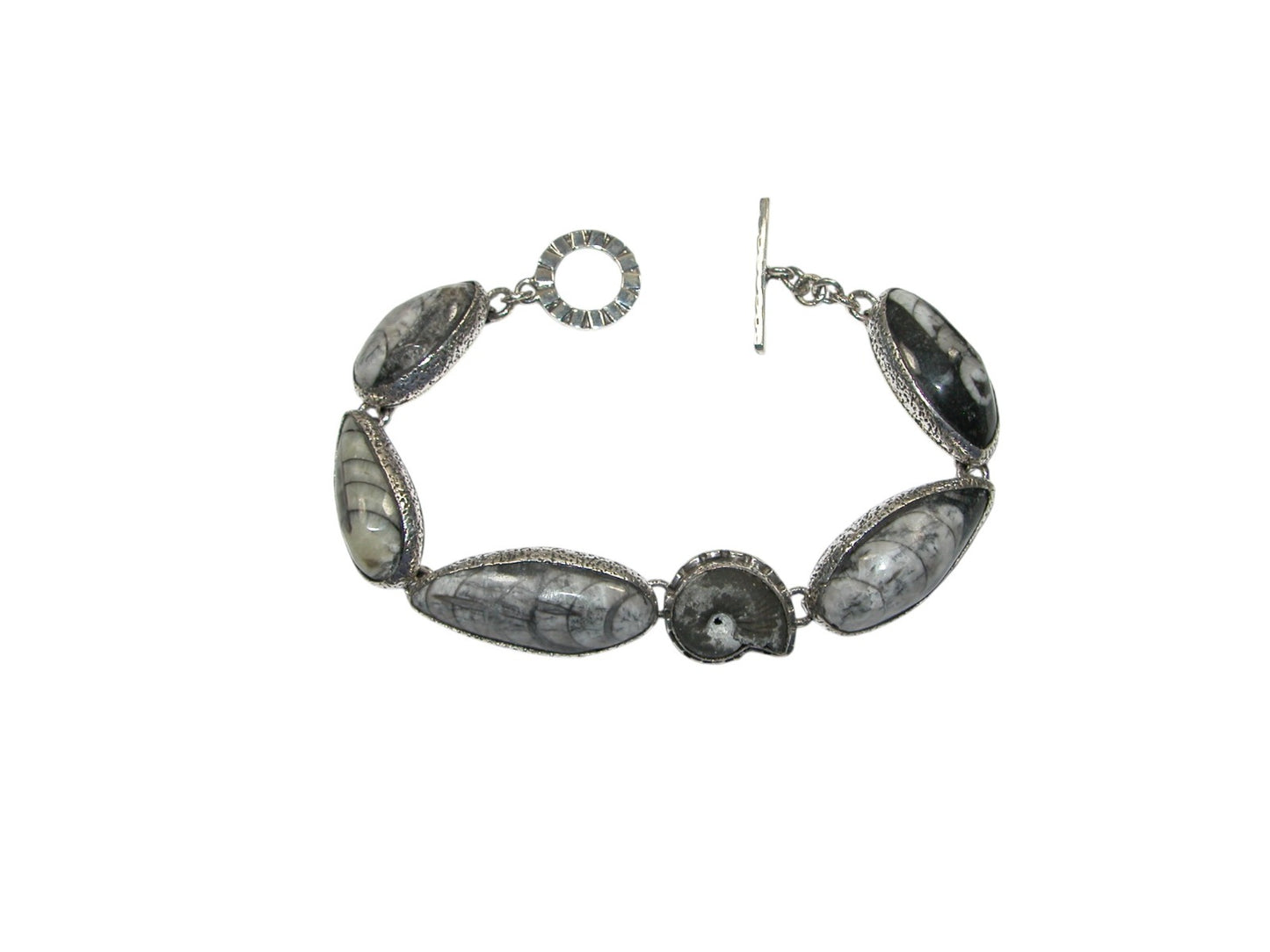 Orthoceras and Ammonite Bracelet