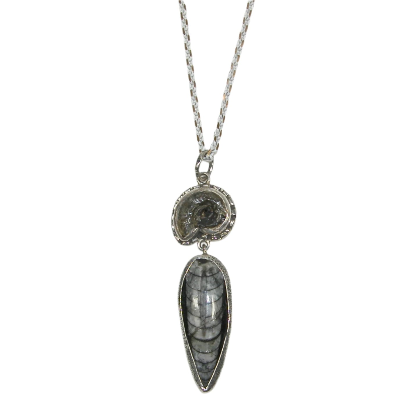 Ammonite Sterling Silver Chain Necklace