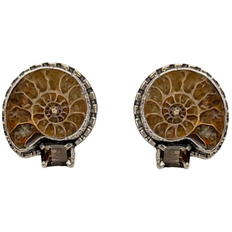 34126A Ammonite, Smokey Quartz Earrings