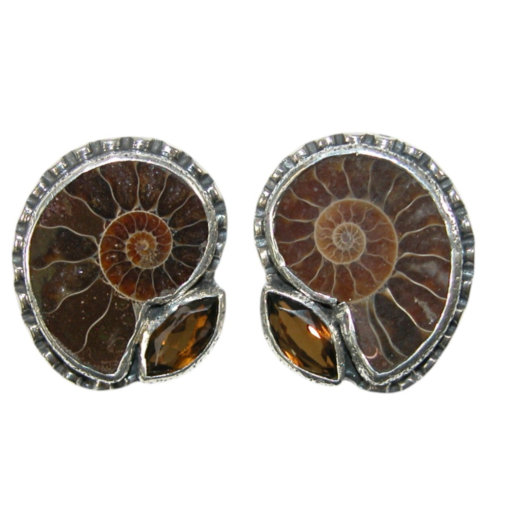 34126 Ammonite, Smokey Quartz Earrings
