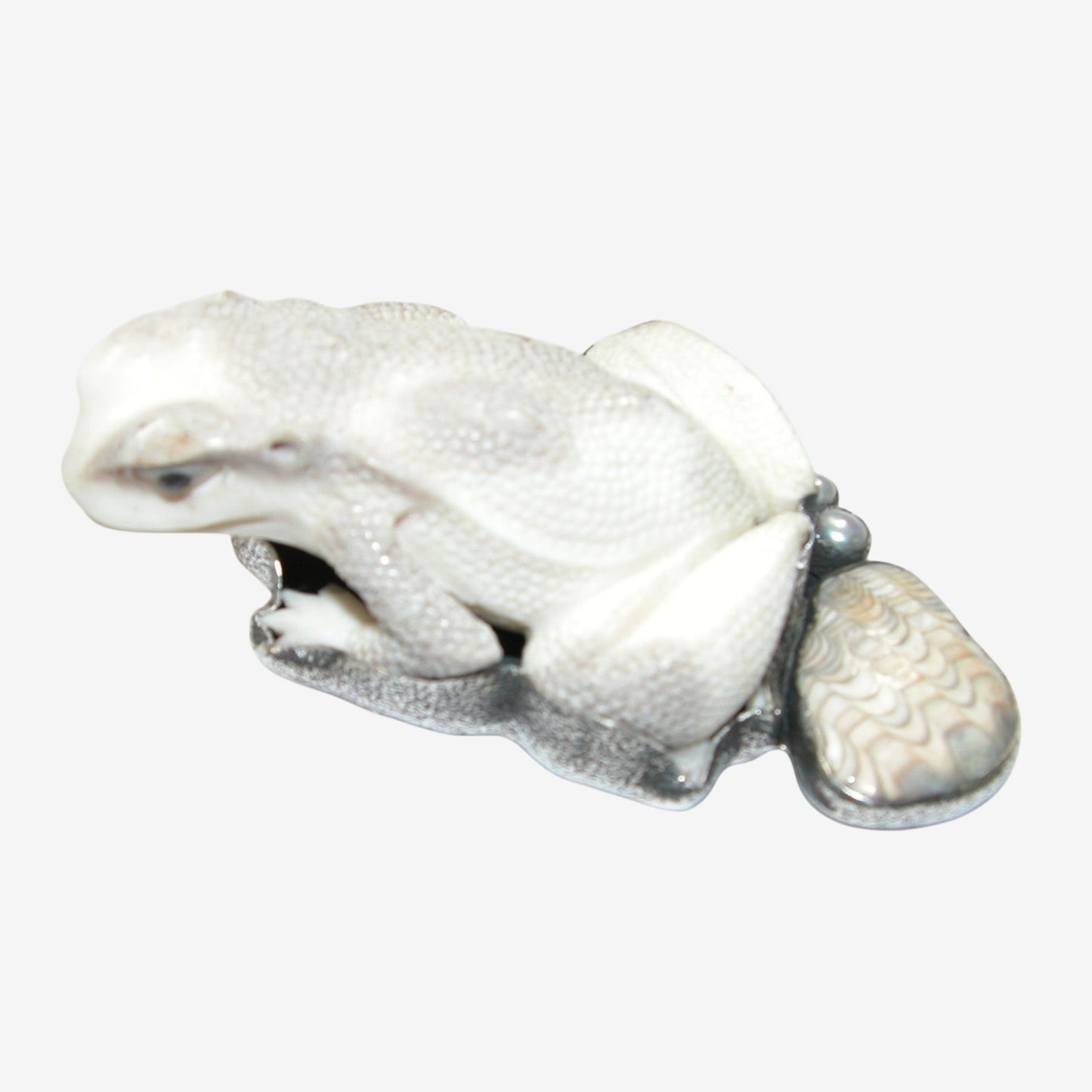 34352 Hand-Carved Antler Frog, Petrified Shell Pin / Pendant