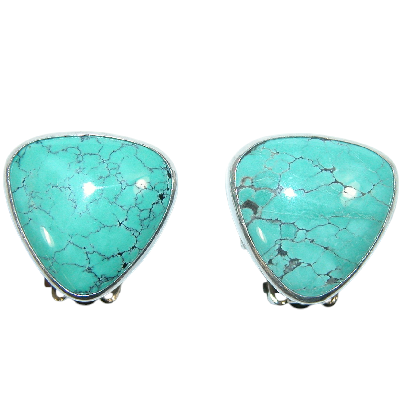 40164 Carved Turquoise Sterling Silver Earring