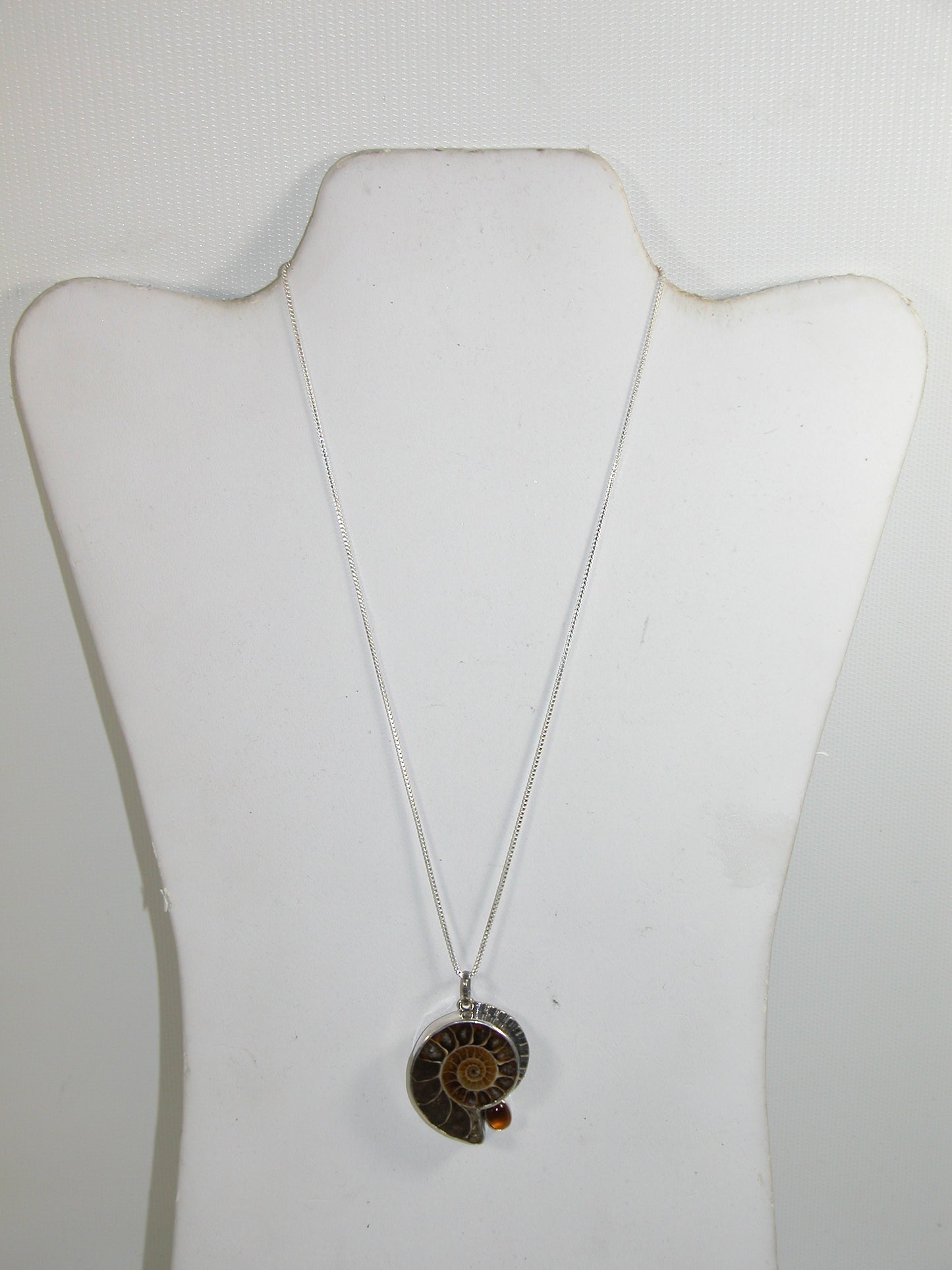 31362 Ammonite Sterling Silver Necklace