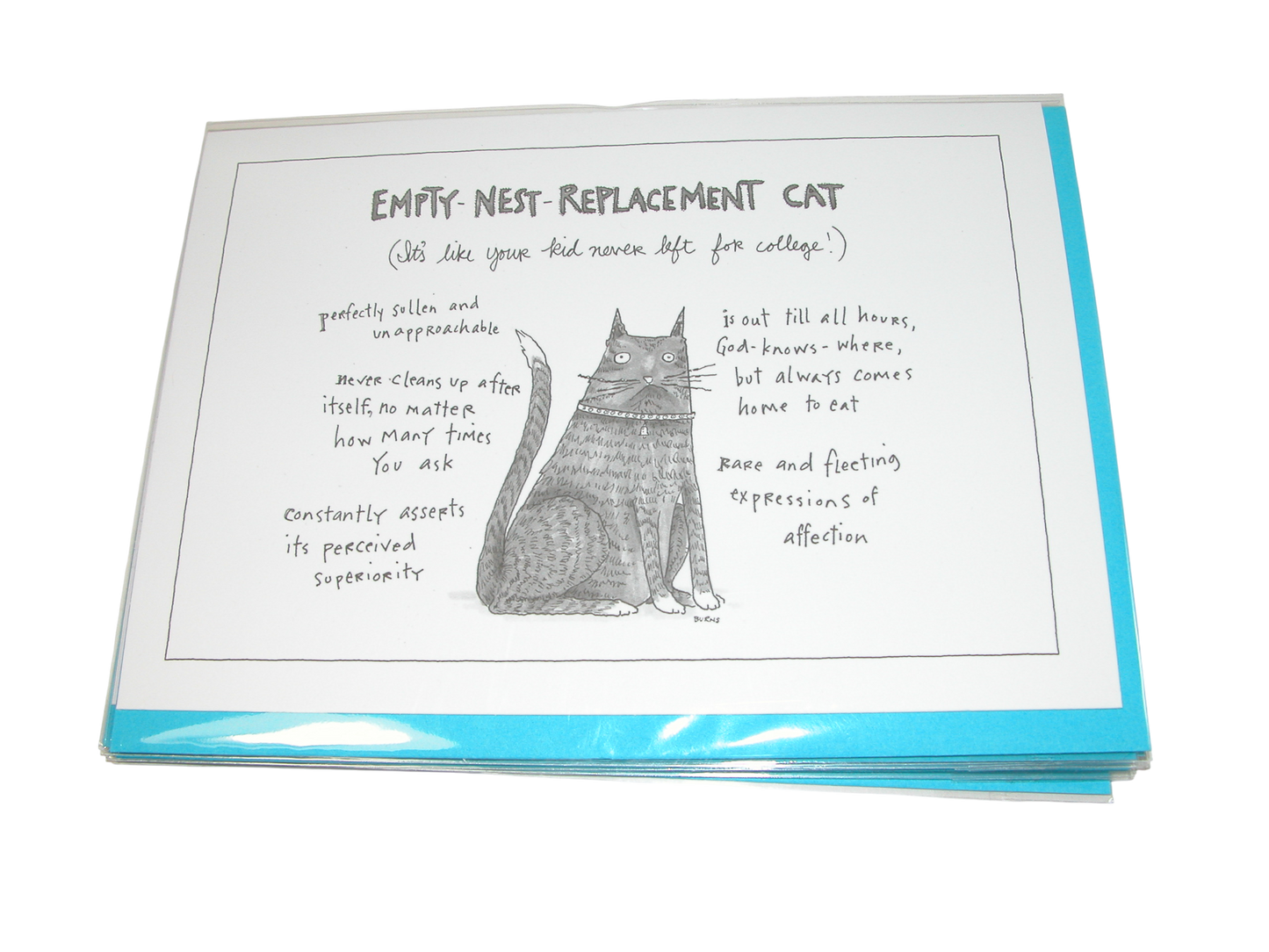 The New Yorker Empty Nest Cat Greeting Card GF3314