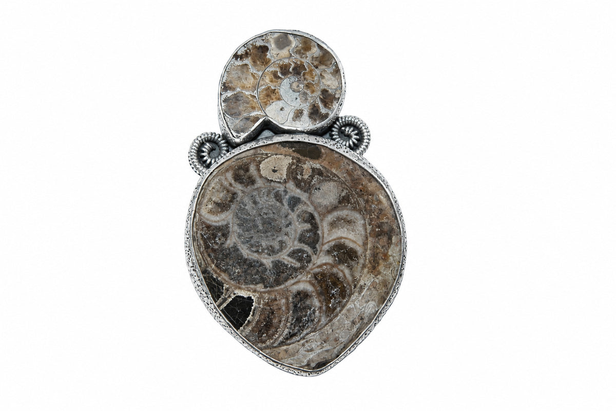 33077 Ammonite Fossilized Shell, Sterling Silver Pin and Pendant
