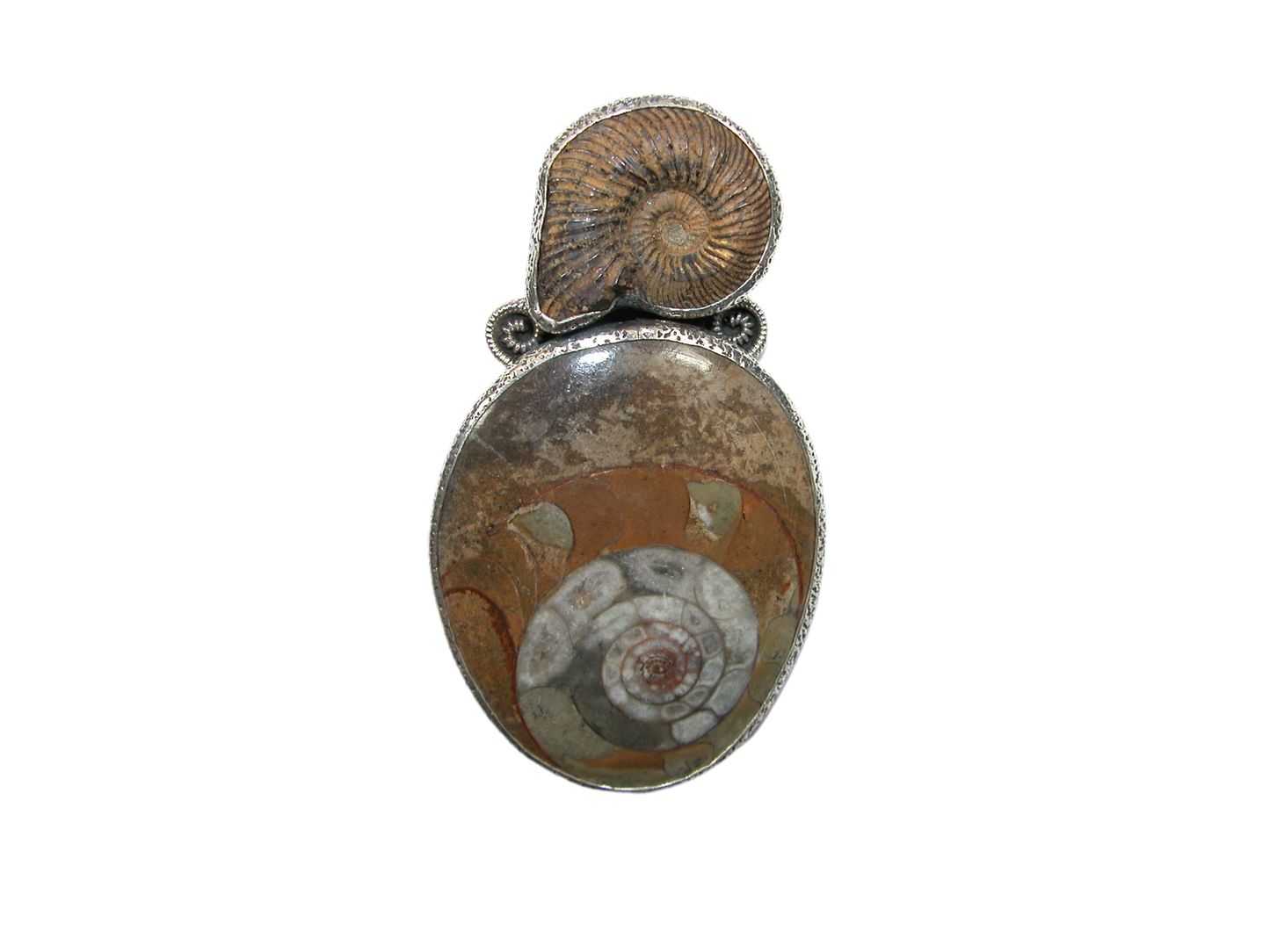 33077A Ammonite Fossilized Shell, Sterling Silver Pin and Pendant
