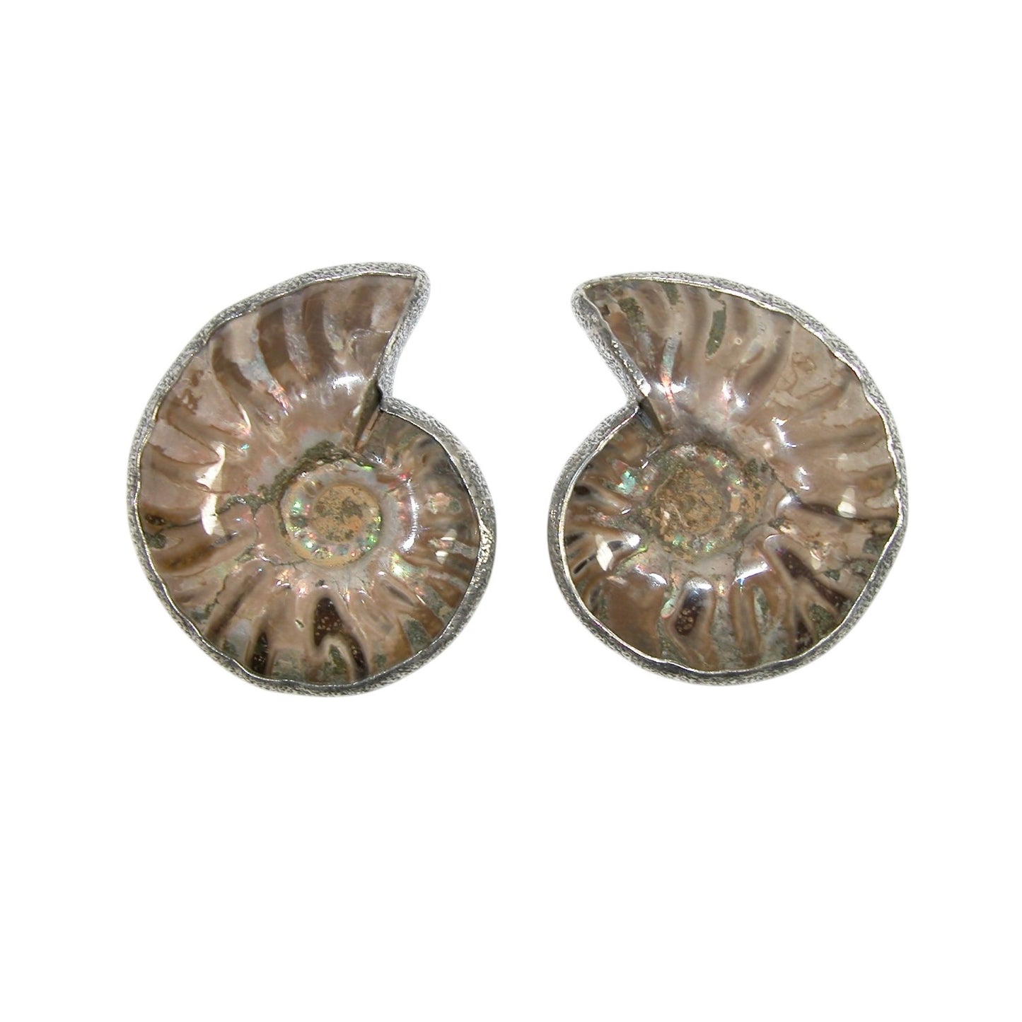 33924A Ammonite Sterling Silver Earrings