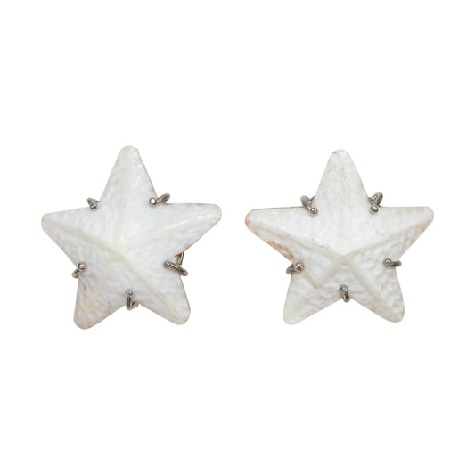 19238 Starfish Sterling Silver Earrings