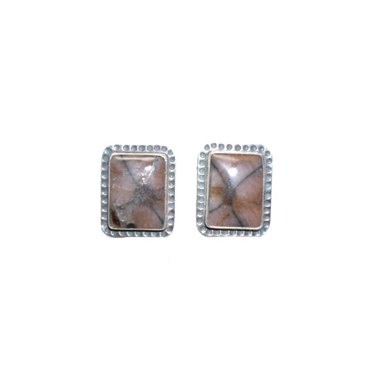 2201 Crinoid Fossil, Sterling Silver Earrings