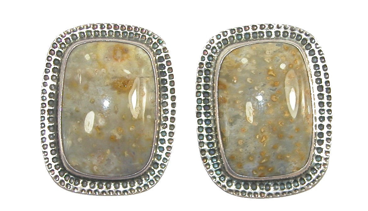 2201 Petrified Palmwood, Sterling Silver Earrings