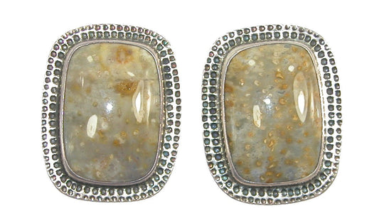 2201 Petrified Palmwood, Sterling Silver Earrings