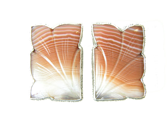 29583 Carved Carnelian Sterling Silver Earring