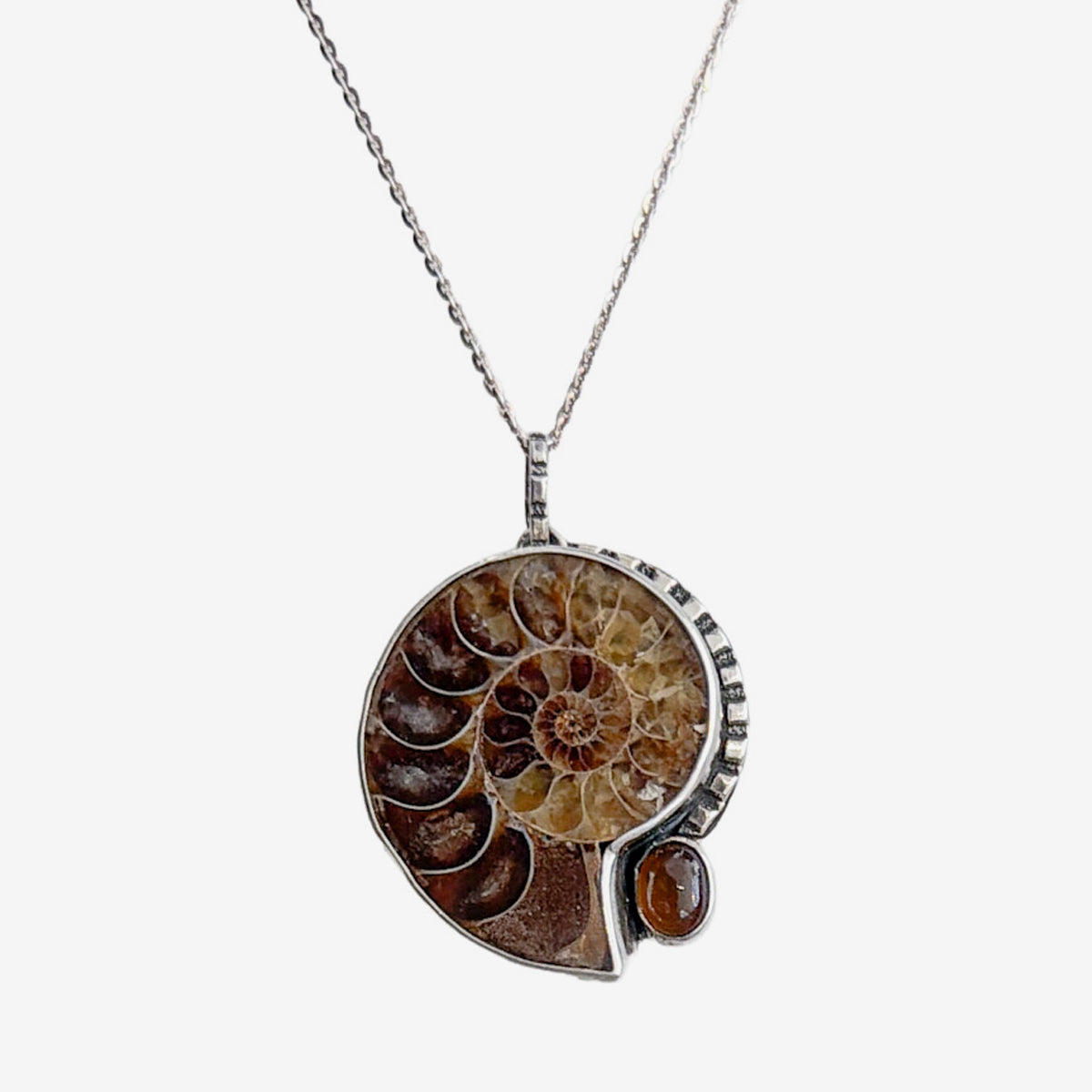 31362 Ammonite, Amber Necklace