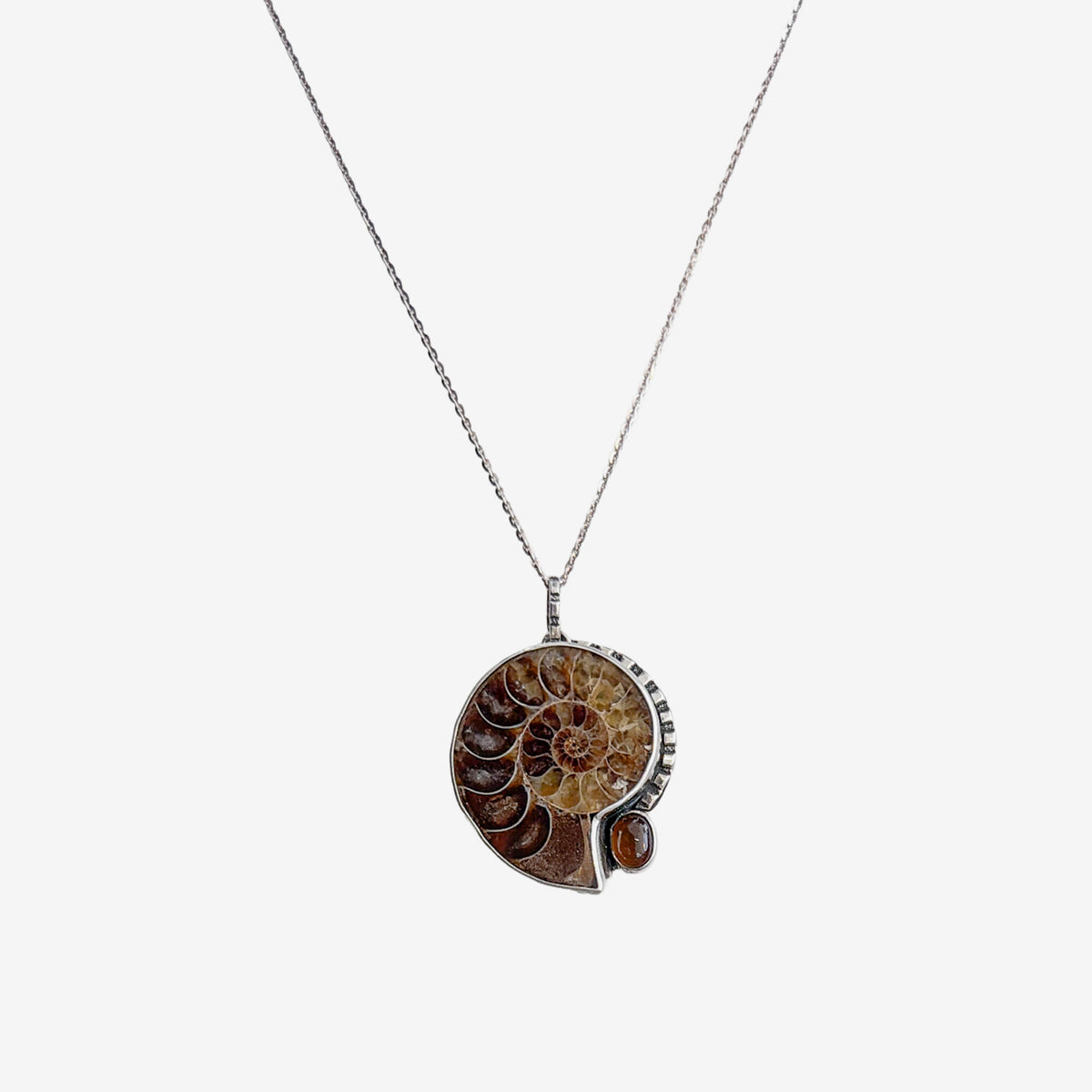 31362 Ammonite, Amber Necklace