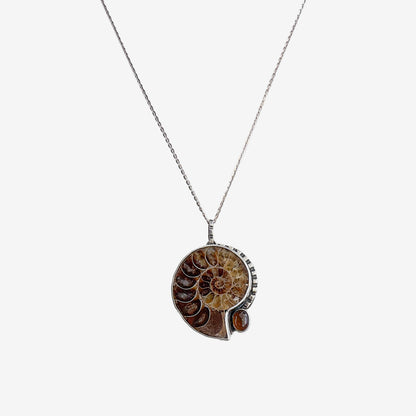 31362 Ammonite, Amber Necklace
