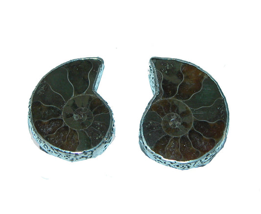31441 Ammonite Shell Stud Sterling Silver Earrings