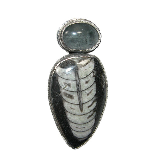 Orthoceras Fossil with Toad's Eye Stone Pin Pendant
