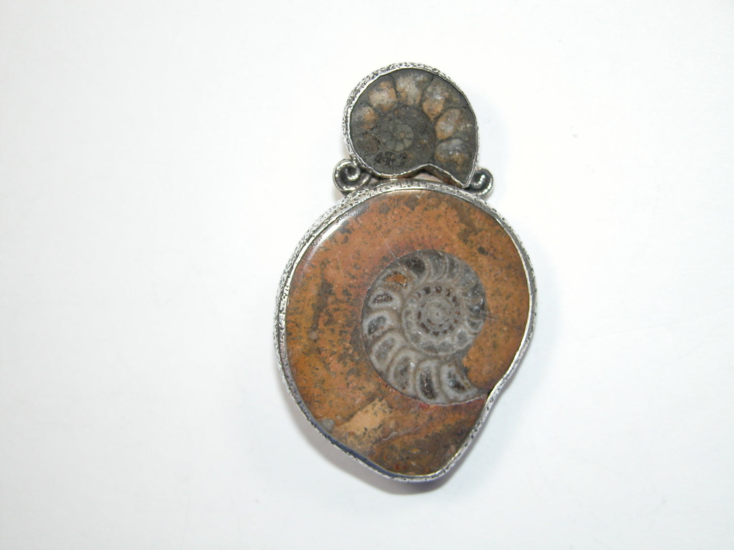 32650 Ammonite Fossil, Sterling Silver Pin Pendant