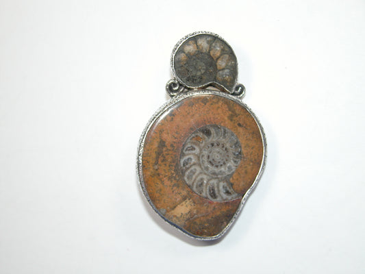 32650 Ammonite Fossil, Sterling Silver Pin Pendant
