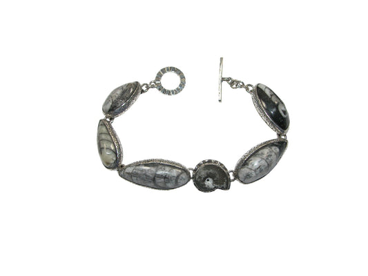 Orthoceras and Ammonite Bracelet