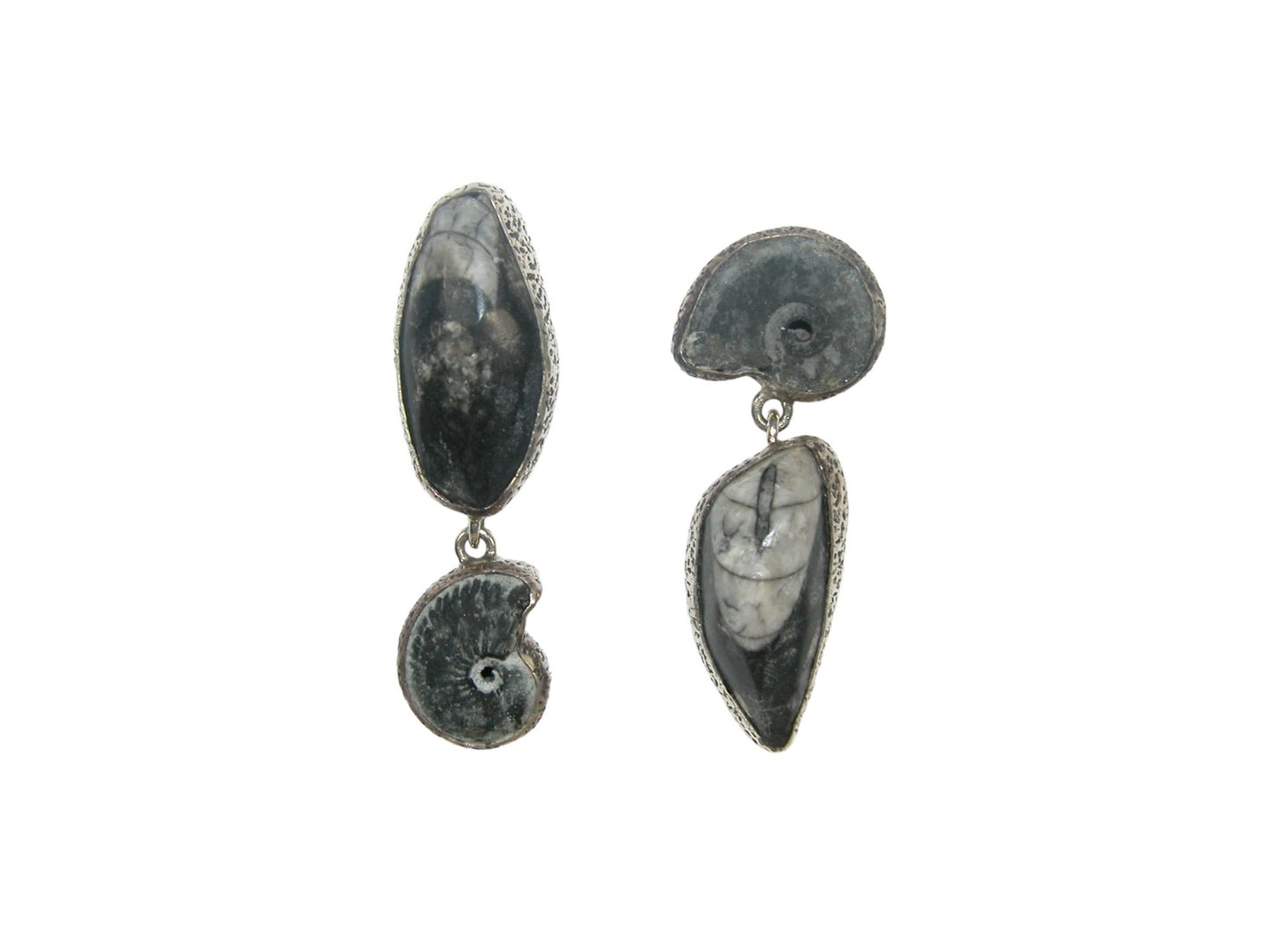 33016 Ammonite and Orthoceras Fossil Asymmetric Post Earrings