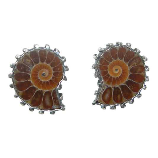 32873 Ammonite Fossil Sterling Silver Earrings