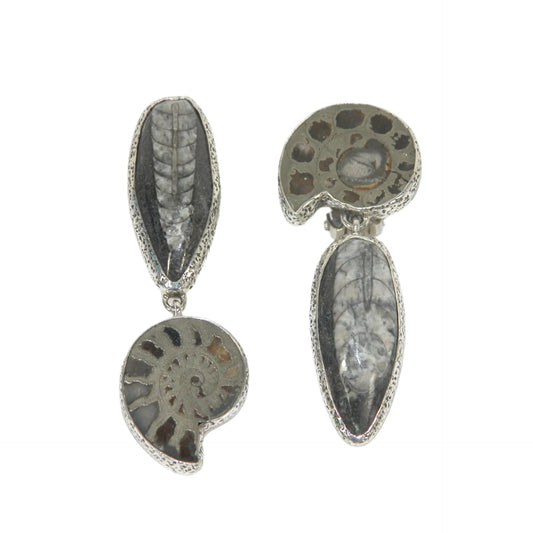 Ammonite Gray Dangle Sterling Silver Earrings