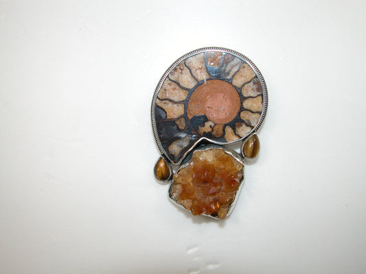 Ammonite Amber Sterling Silver Pin and Pendant
