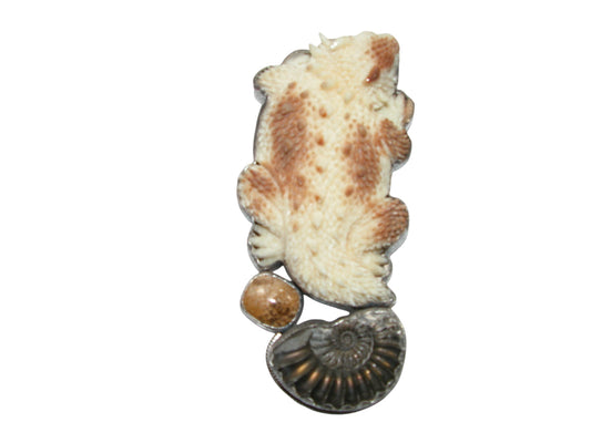 33962 Reptile Carved Ivory, Ammonite, Sterling Silver Pin and Pendant