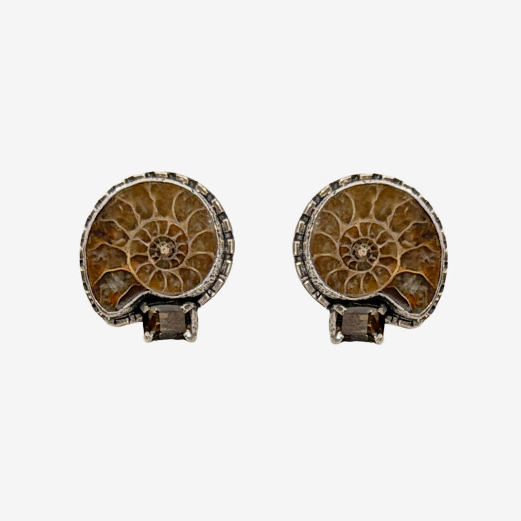 34126A Ammonite, Smokey Quartz Earrings