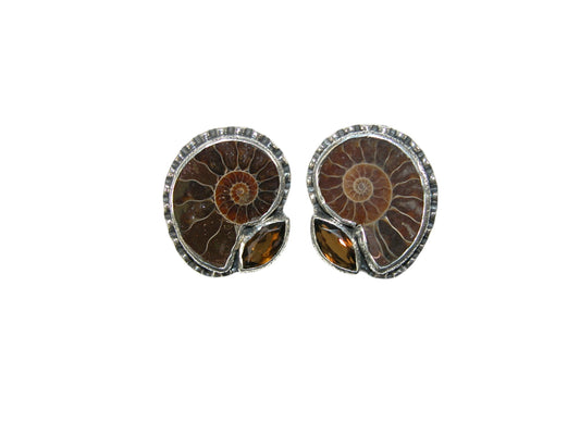 34126 Ammonite Sterling Silver Earrings