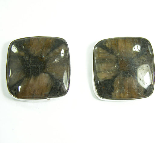 37782 Chiastolite Sterling Silver Earrings