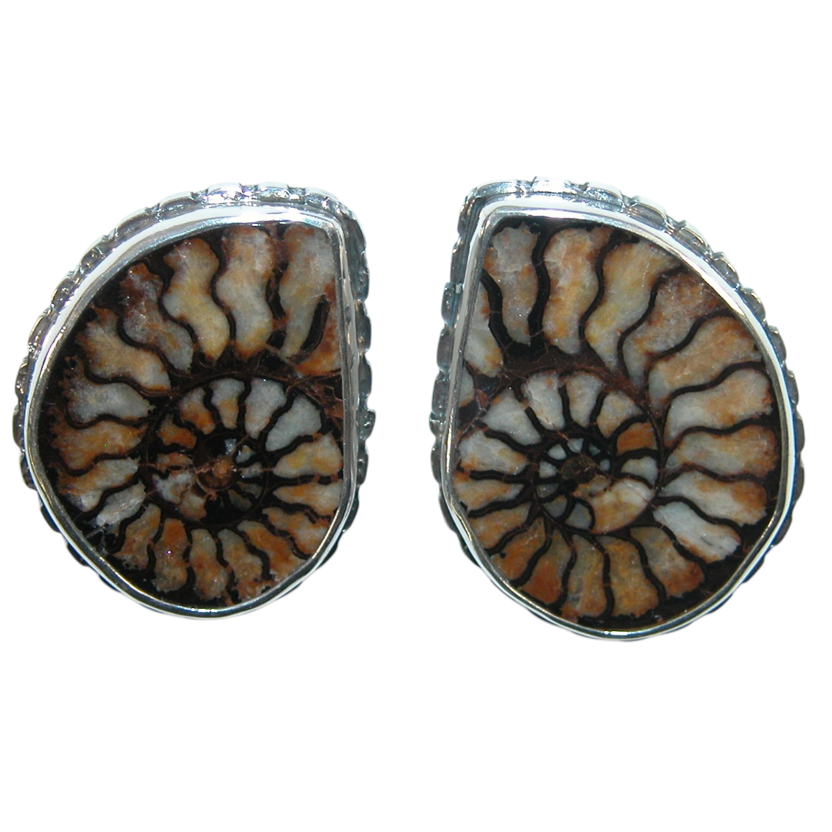 40163 Natural Ammonite Fossil Sterling Silver Earrings