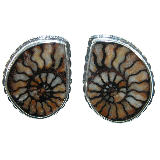40163 Natural Ammonite Fossil Sterling Silver Earrings