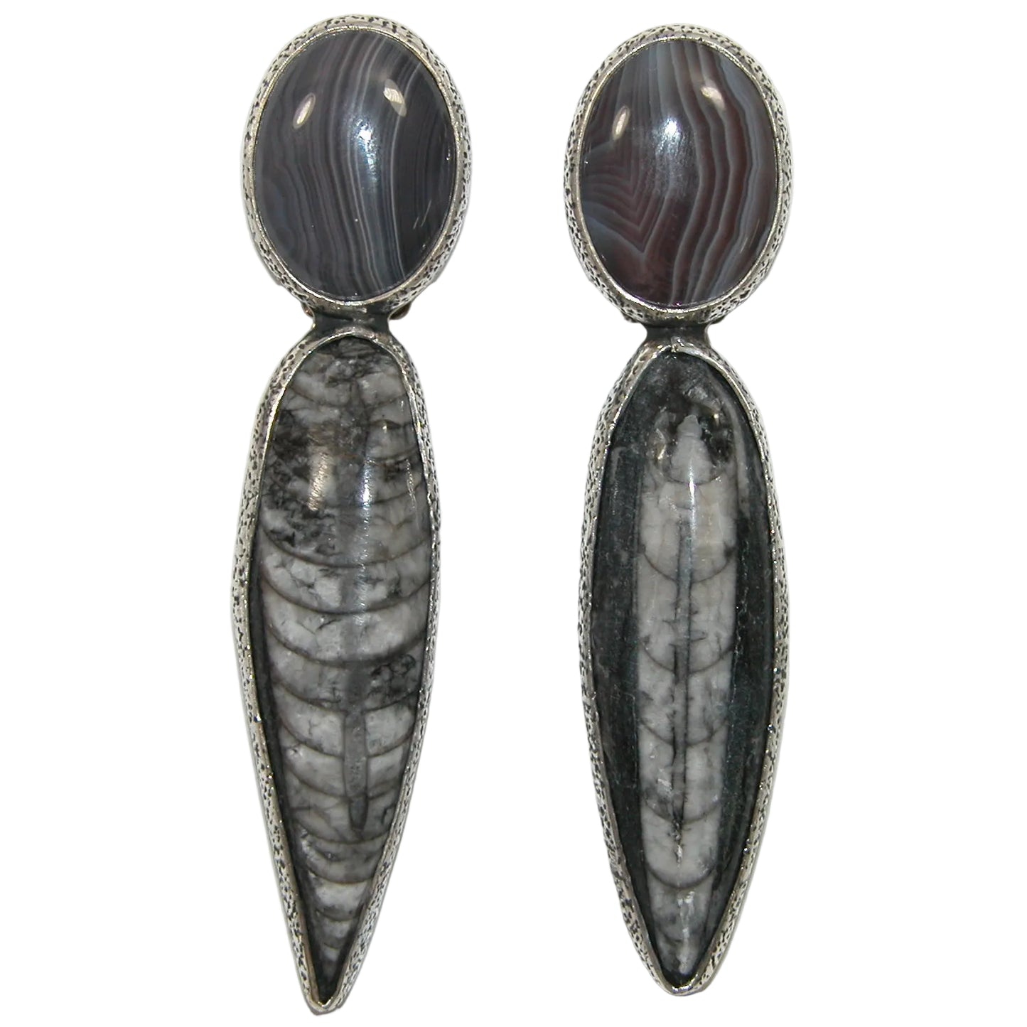 40117 Orthoceras Fossil Botswana Agate Sterling Silver Earring