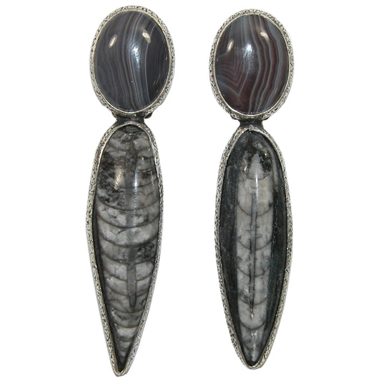 40117 Orthoceras Fossil Botswana Agate Sterling Silver Earring