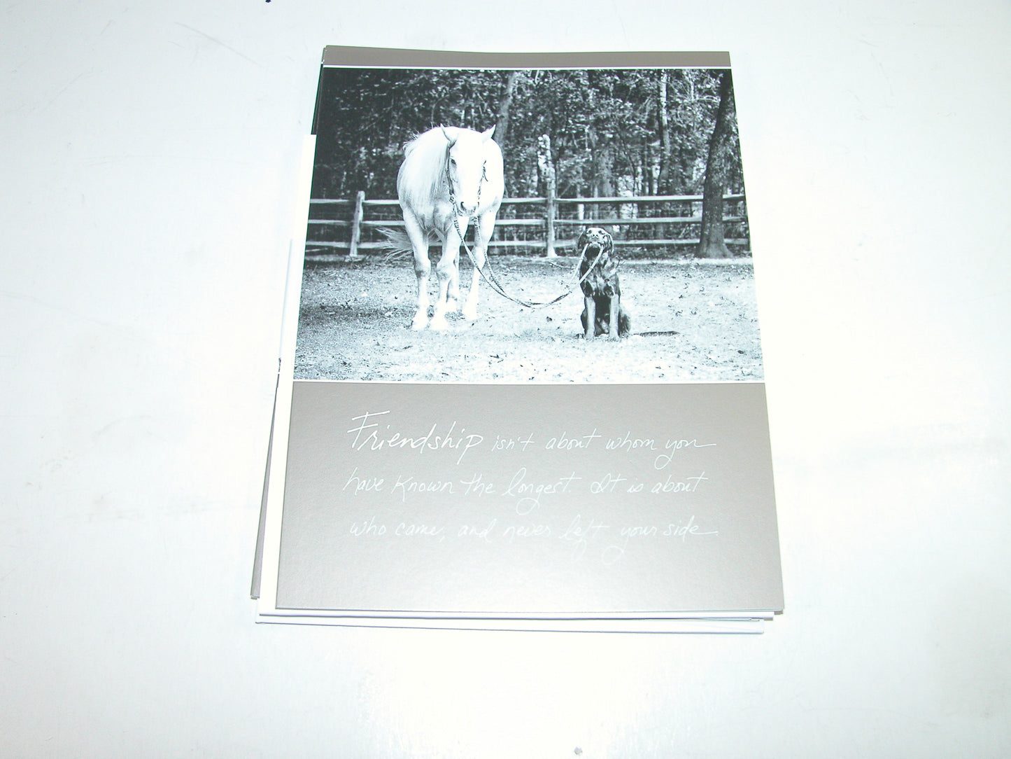 Greeting Card Friendship GF3206