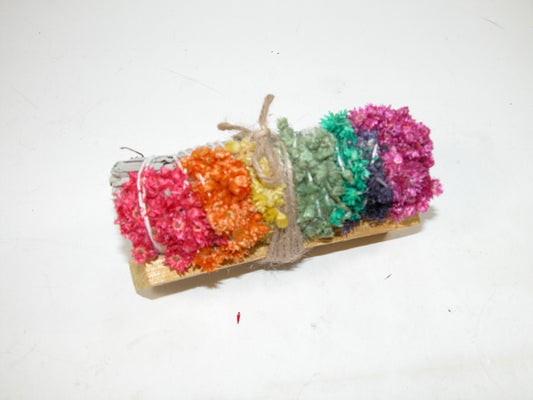 Sage Rainbow Selenite GF3298