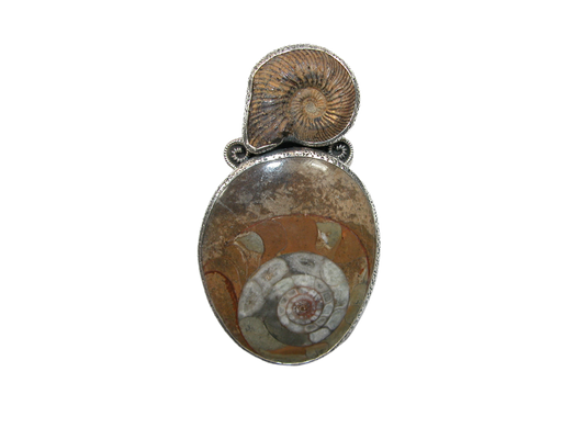 33077A Ammonite Fossilized Shell, Sterling Silver Pin and Pendant