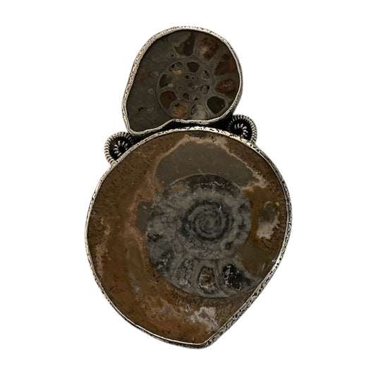 33077 Ammonite Fossilized Shell, Sterling Silver Pin and Pendant